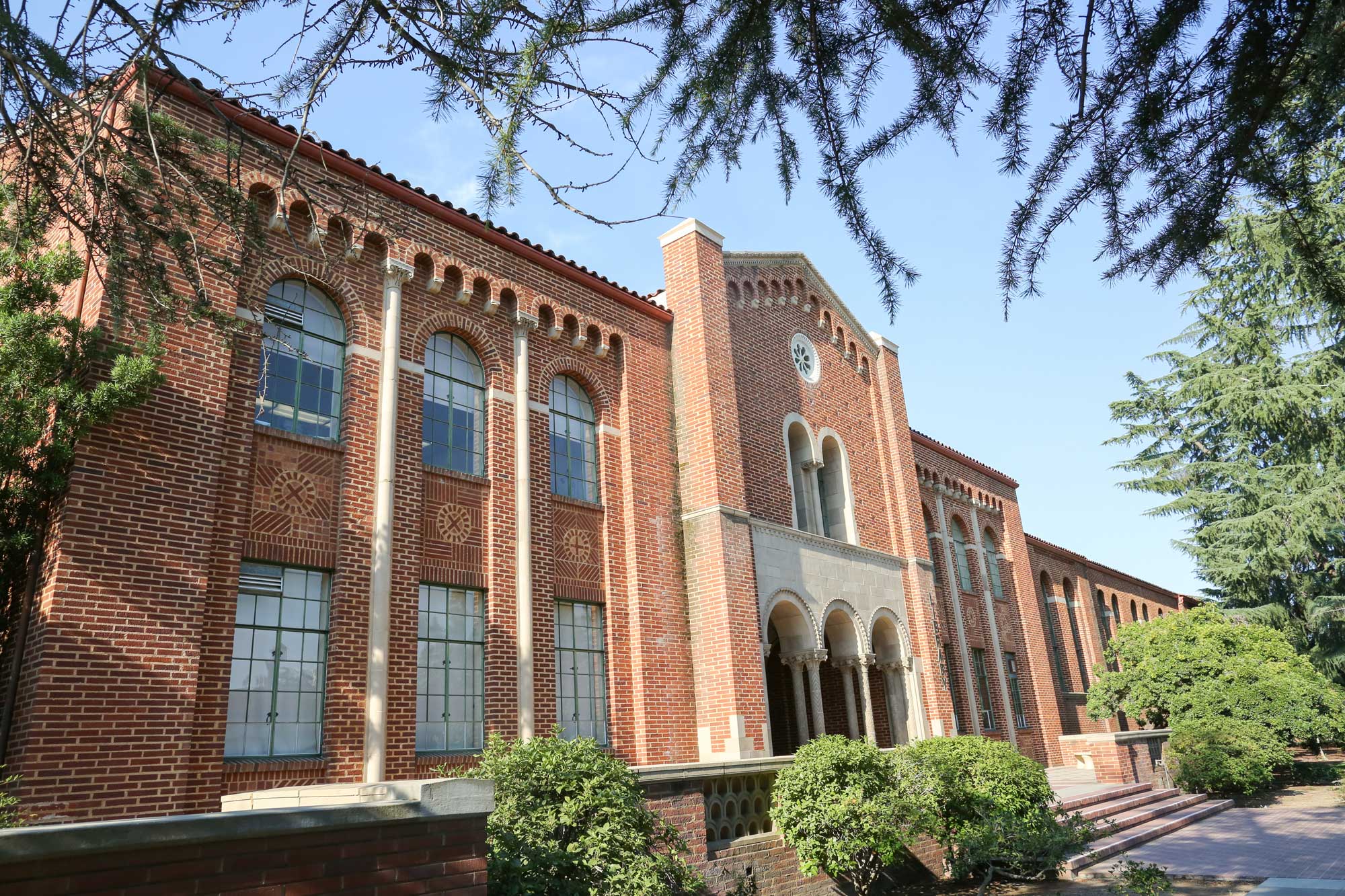 library front